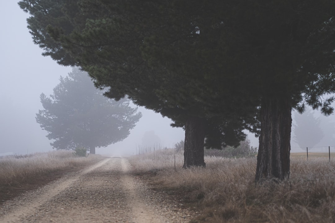 Leberkur sinnvoll – Was bringt eine Entgiftung der Leber wirklich?