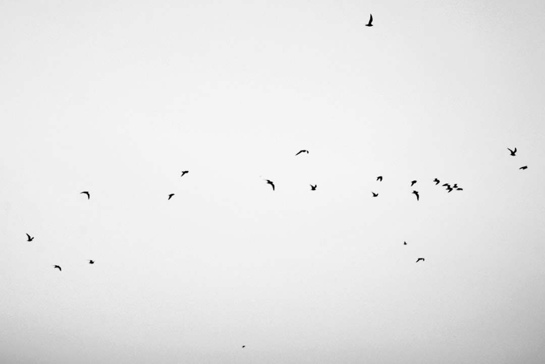 MSM und Wassereinlagerung: Was Sie wissen sollten