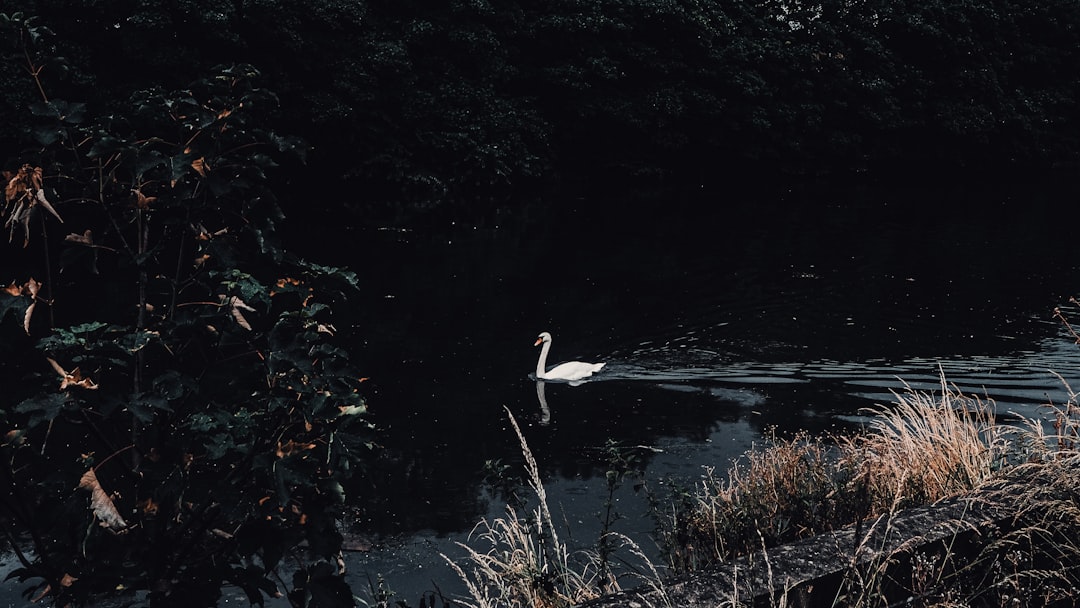Das Leben und Wirken von Nele Lindemann