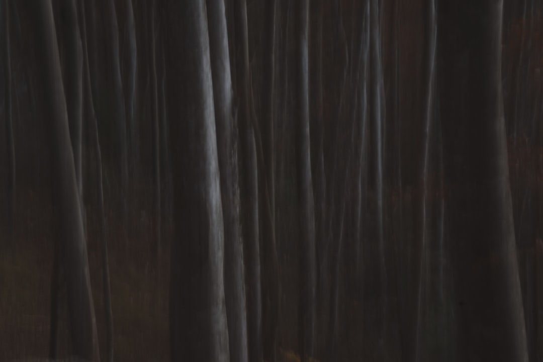 Die Wahrheit über Katja Burkard verstorben: Was ist passiert?