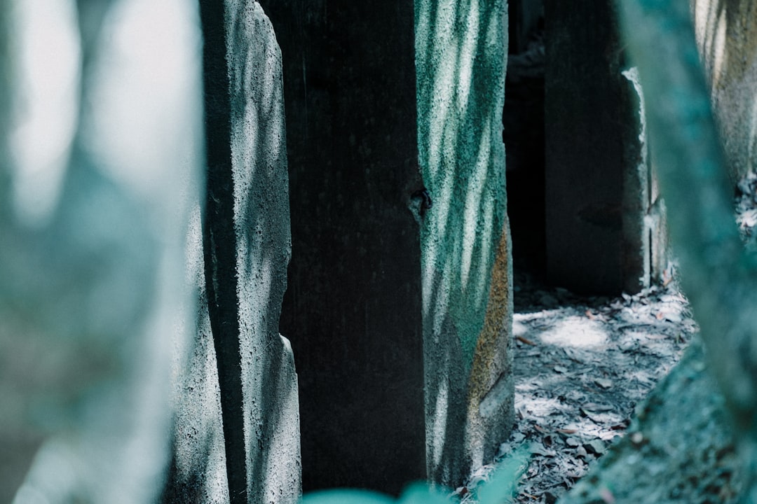 Erinnerungen an Peter Kraus: Ein Leben voller Musik und Bewegung