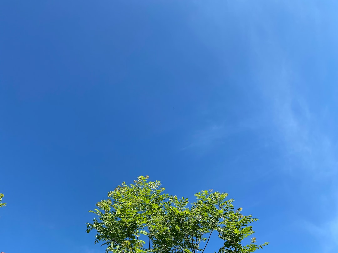 Liebe Erinnerungen: Verstorbene zum Geburtstag im Himmel ehren