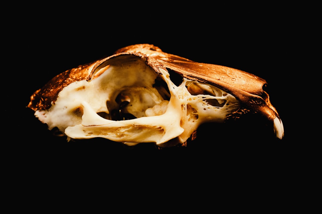 Rauchen und Arteriosklerose: Wie Zigaretten die Gefäße schädigen