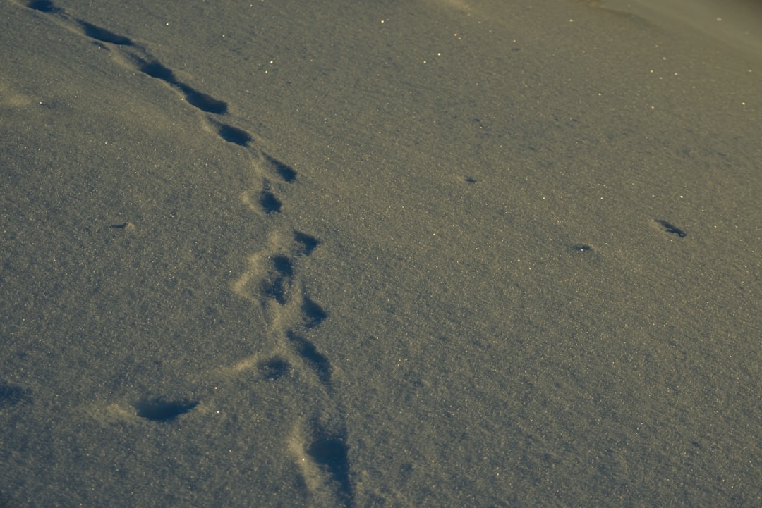 Paul Walker verstorben: Ein Leben voller Leidenschaft und Menschlichkeit