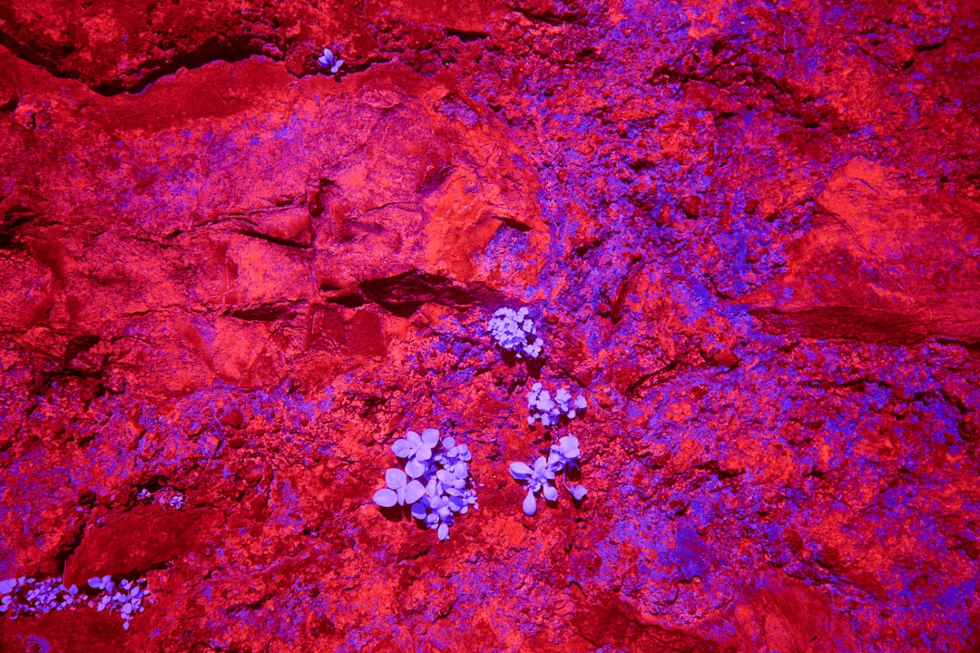 Schuppenflechte und Neurodermitis: Leben mit entzündlicher Haut